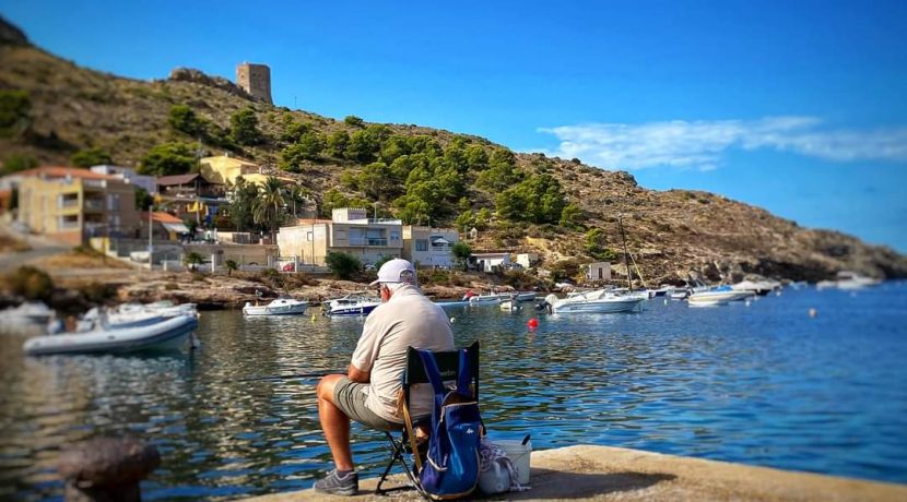 FB_IMG_1599342719796