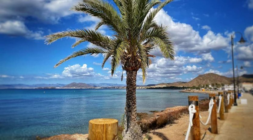 FB_IMG_1599342725559